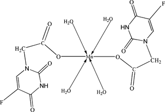 [Contents scheme]