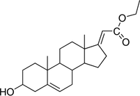 [Contents scheme]