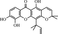 [Contents scheme]