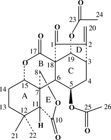 [Contents scheme]