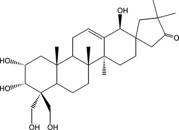 [Contents scheme]