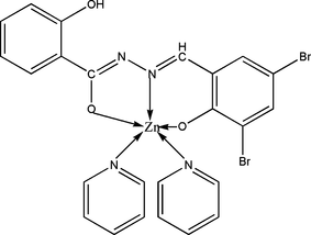 [Contents scheme]