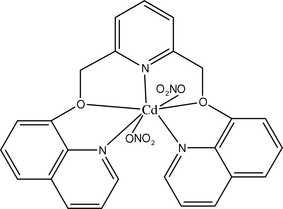 [Contents scheme]
