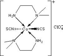 [Contents scheme]