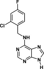 [Contents scheme]