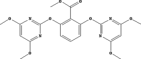 [Contents scheme]