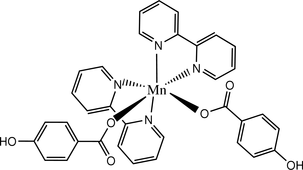 [Contents scheme]