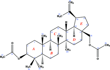 [Contents scheme]