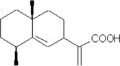 [Contents scheme]