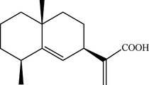 [Contents scheme]