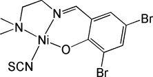 [Contents scheme]
