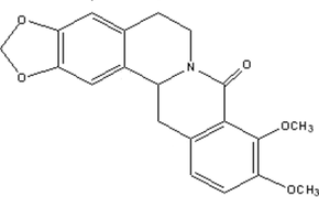 [Contents scheme]