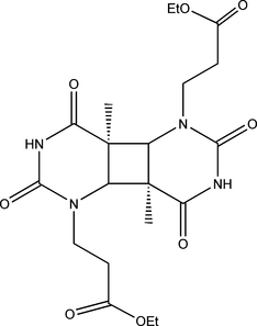 [Contents scheme]