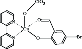 [Contents scheme]
