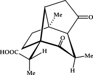 [Contents scheme]
