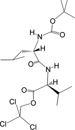 [Contents scheme]