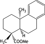 [Contents scheme]