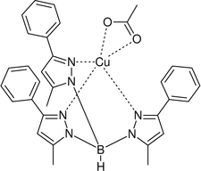 [Contents scheme]