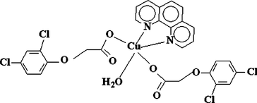 [Contents scheme]