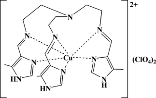 [Contents scheme]