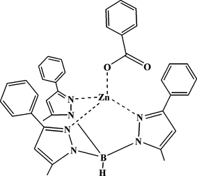 [Contents scheme]