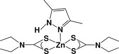 [Contents scheme]