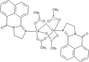 [Contents scheme]