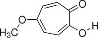 [Contents scheme]
