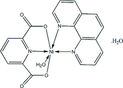 [Contents scheme]