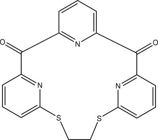 [Contents scheme]