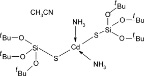 [Contents scheme]