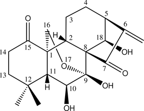 [Contents scheme]