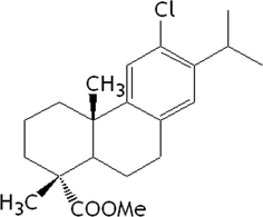 [Contents scheme]