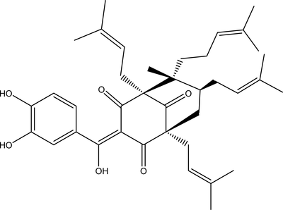 [Contents scheme]