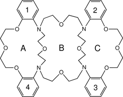 [Contents scheme]