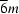 \\overline{6}m