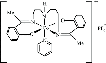 [Contents scheme]