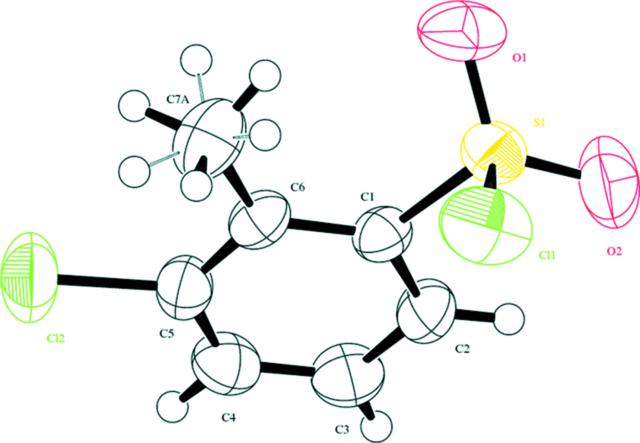 [Figure 1]
