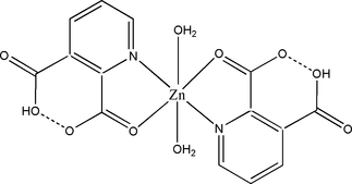 [Contents scheme]