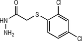 [Contents scheme]