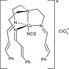 [Contents scheme]