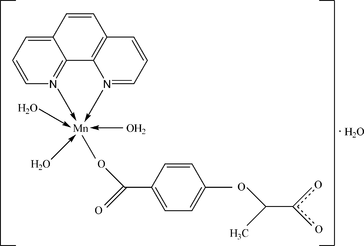 [Contents scheme]