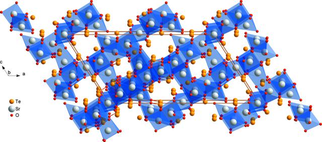 [Figure 1]