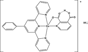 [Contents scheme]