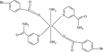 [Contents scheme]