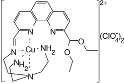 [Contents scheme]