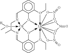 [Contents scheme]