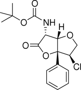 [Contents scheme]