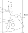 contents scheme thumbnail