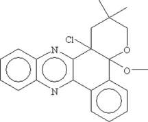 [Contents scheme]